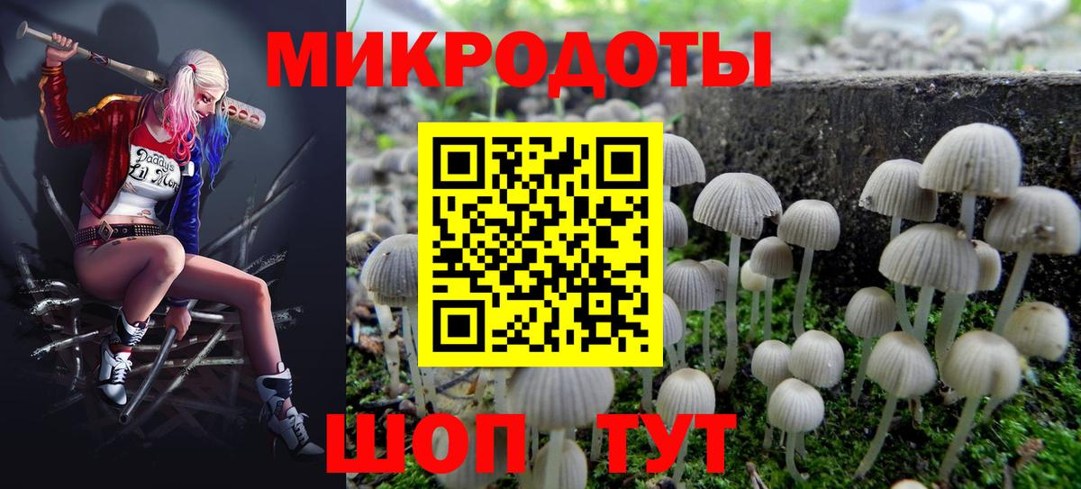 Амурск  Псилоцибиновые грибы мухоморы  Вход с VPN  Галлюциногенные грибы мухоморы 